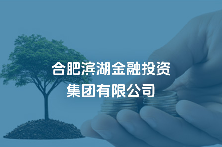 合肥j9真人金融投资集团有限公司