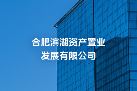 合肥j9真人资产置业生长有限公司