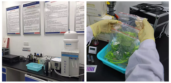 j9真人(中国集团)游戏第一品牌